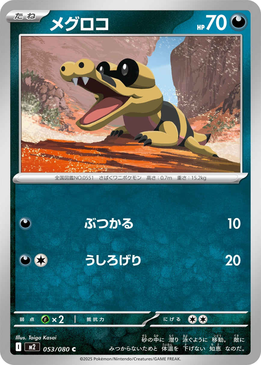 053/080 Sandile M2