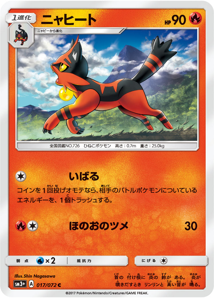 017/072 Torracat SM3+