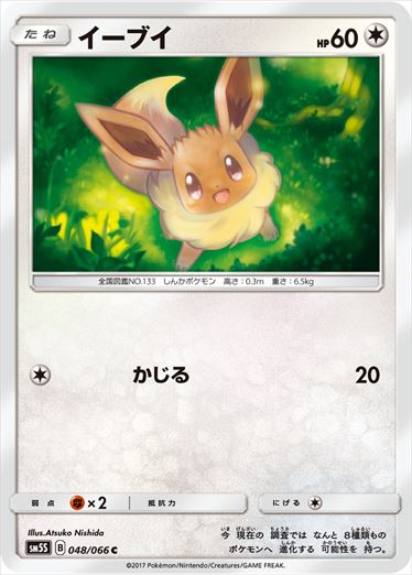 048/066 Eevee SM5S