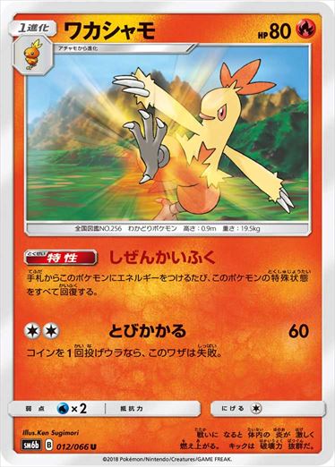 012/066 Combusken SM6b