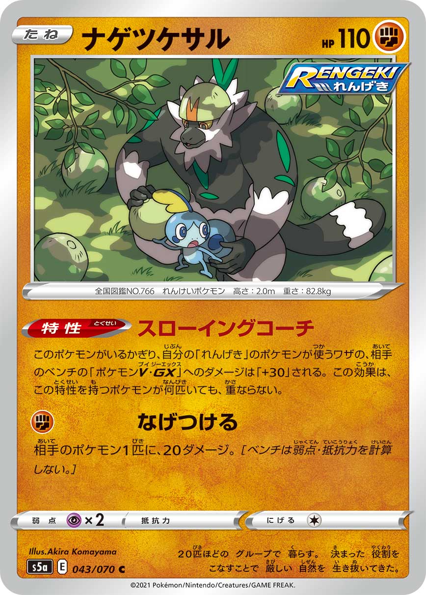 043/070 Passimian S5a