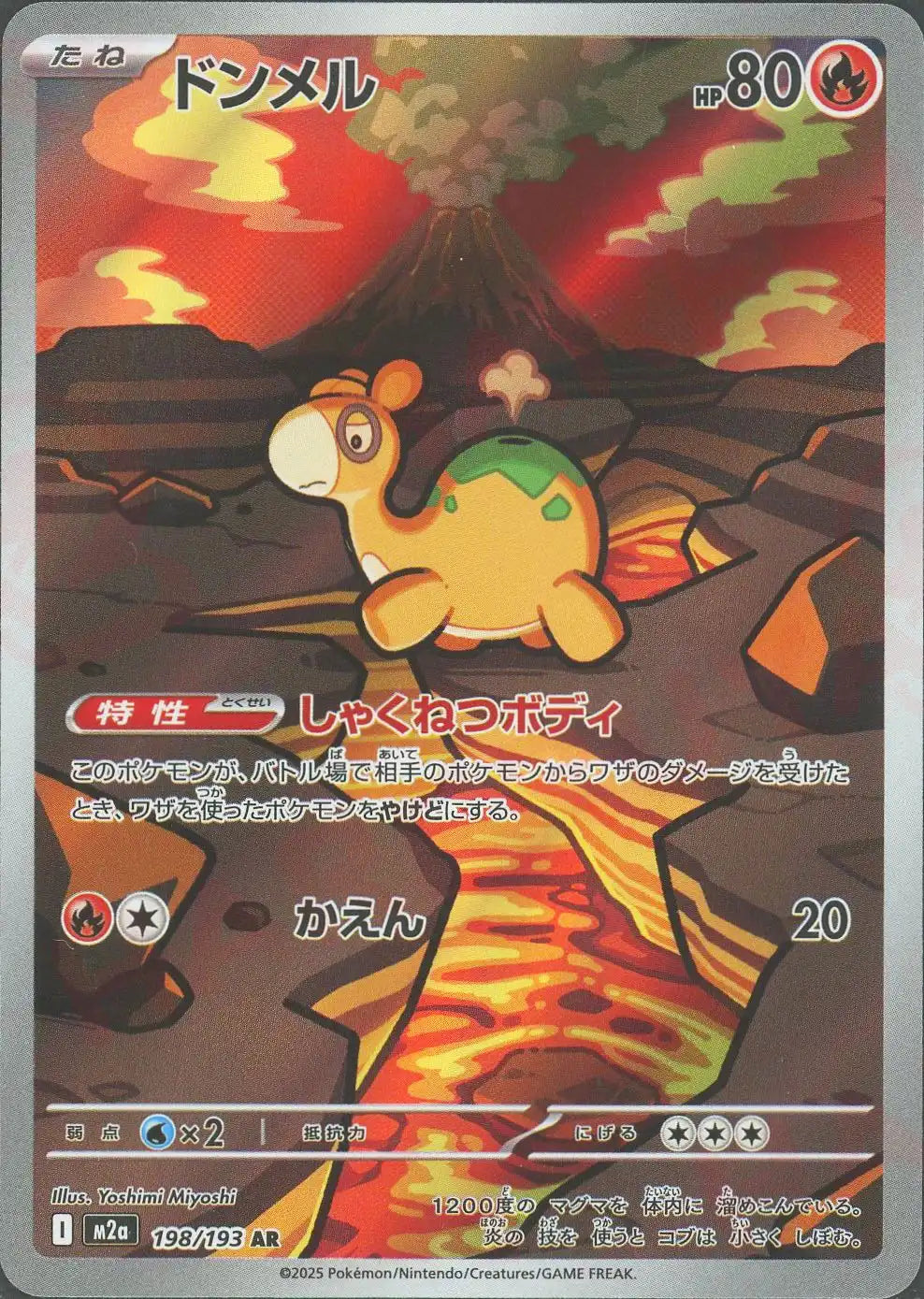 198/193 Numel AR M2a