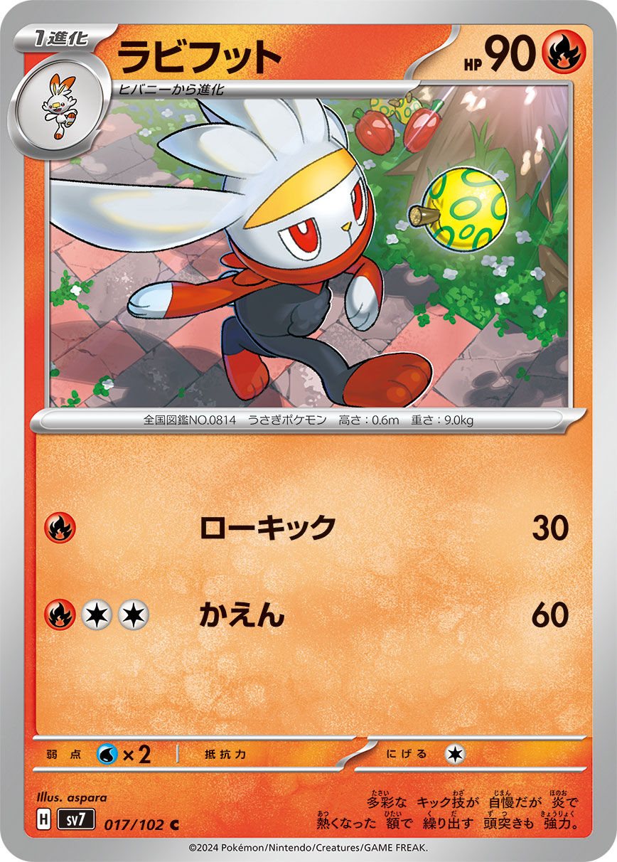 017/102 Raboot SV7