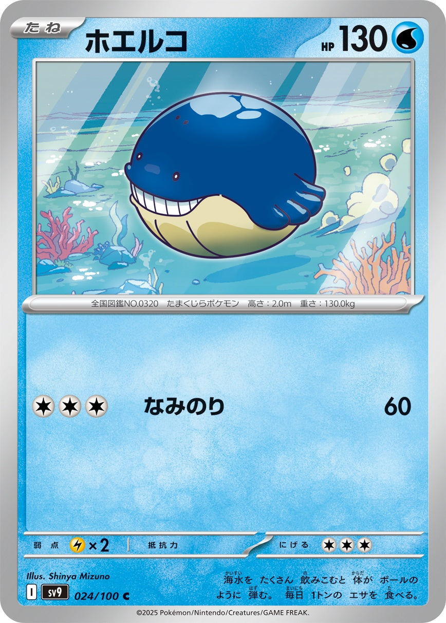 024/100 Wailmer SV9