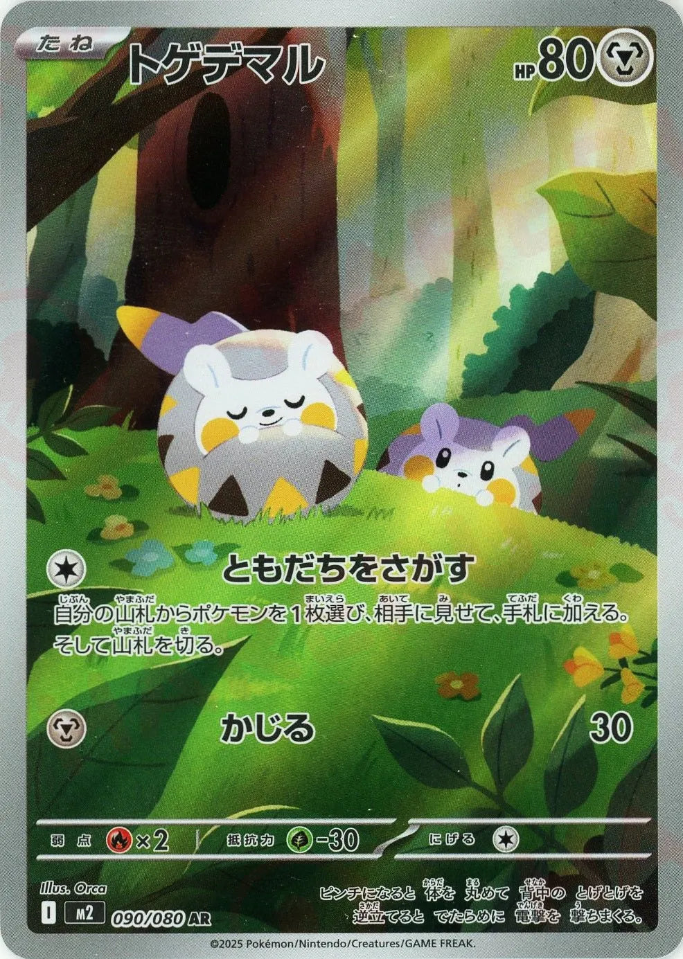090/080 Togedemaru AR M2 