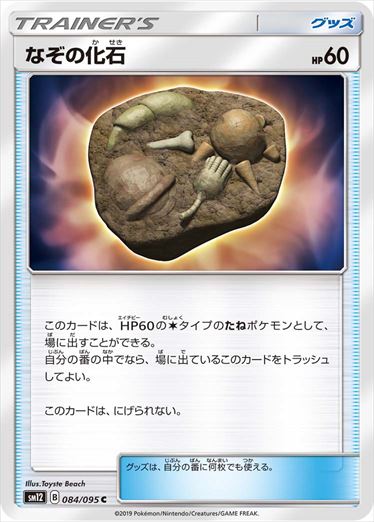 084/095 Unidentified Fossil SM12