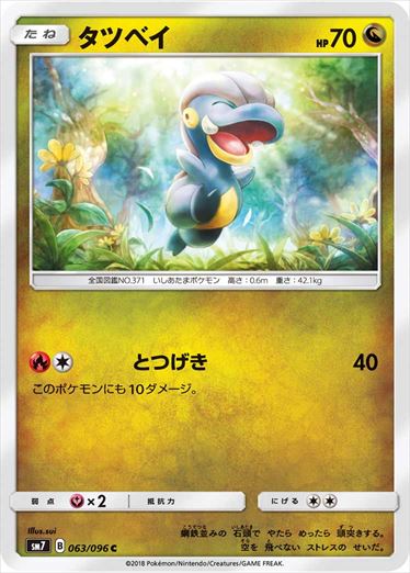063/096 Bagon SM7