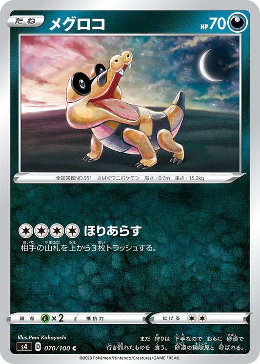 070/100 Sandile S4
