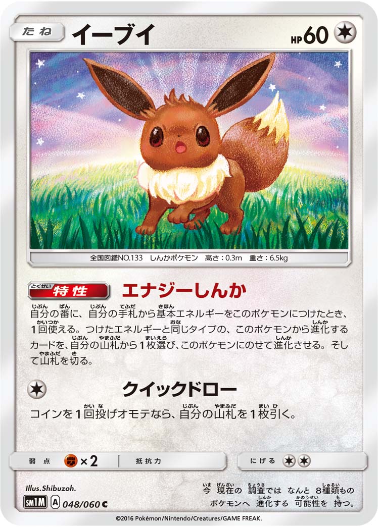 048/060 Eevee SM1M