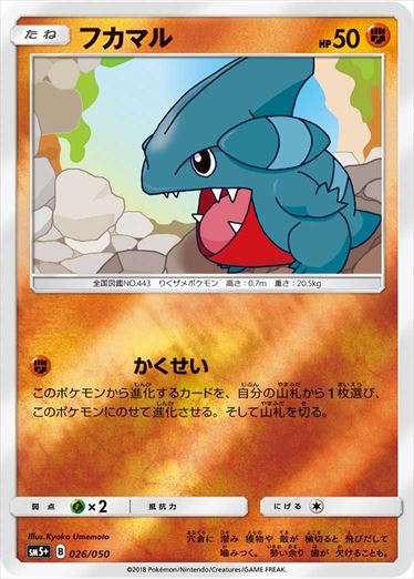 026/050 Gible SM5+