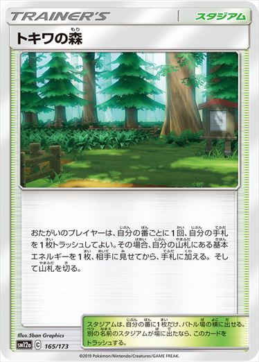 165/173 Viridian Forest SM12a