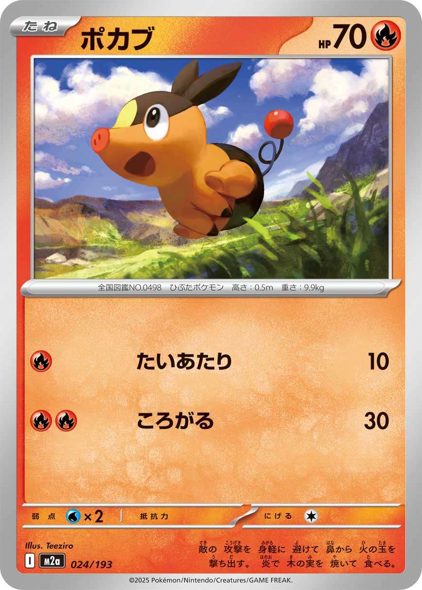 024/193 Tepig M2a