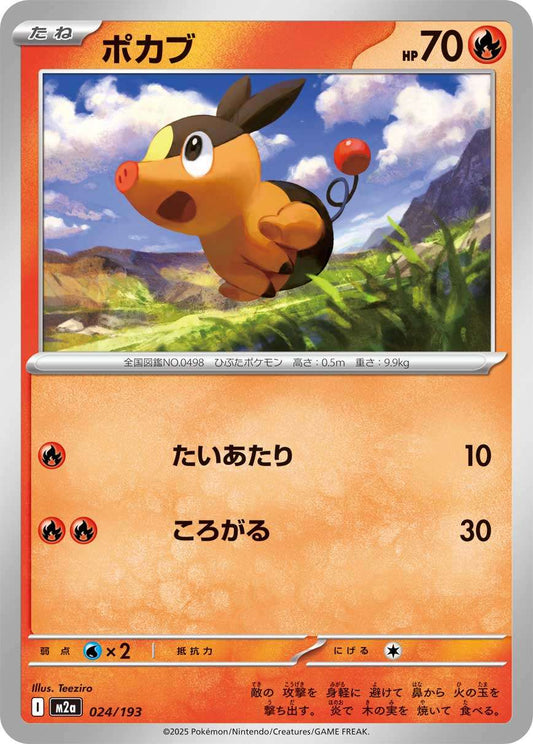 024/193 Tepig M2a