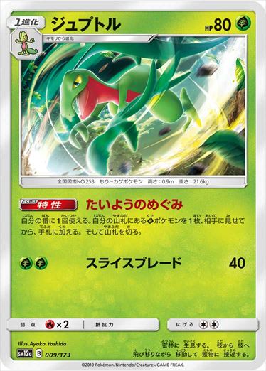 009/173 Grovyle SM12a