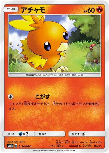 011/066 Torchic SM6b