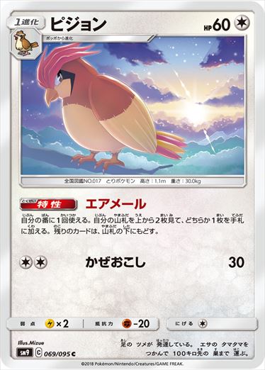 069/095 Pidgeotto SM9