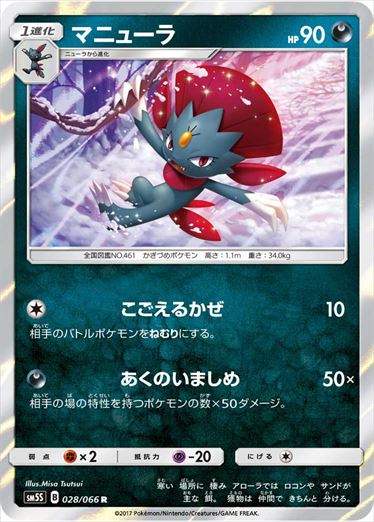 028/066 Weavile SM5S