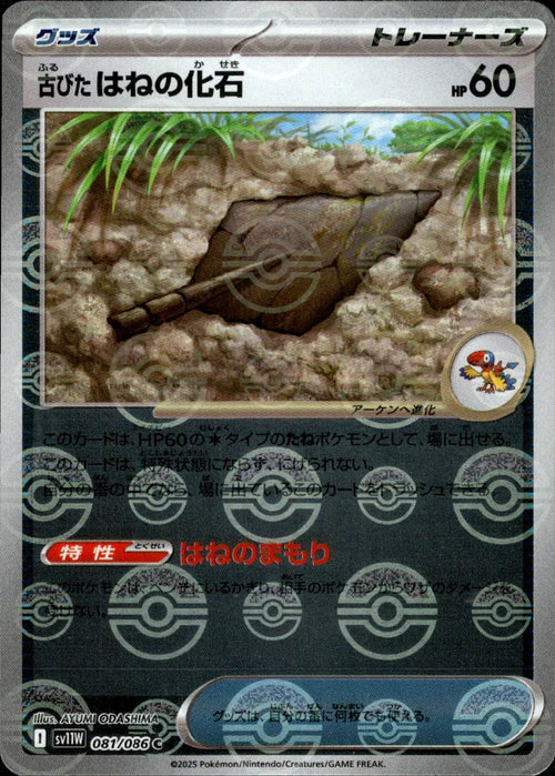 081/086 Antique Plume Fossil SV11W Reverse Holo