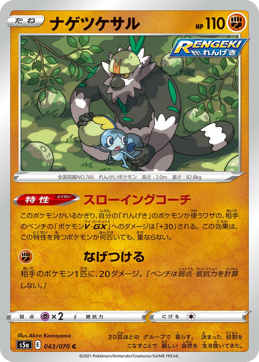 043/070 Passimian S5a