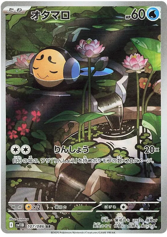 107/086 Tympole AR SV11B 