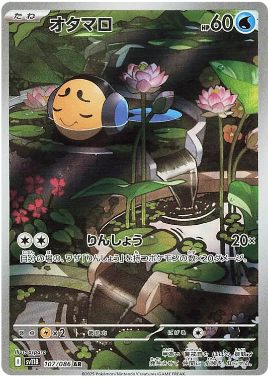 107/086 Tympole AR SV11B 