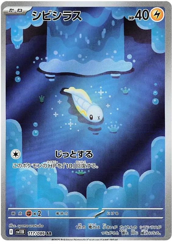 117/086 Tynamo AR SV11B 