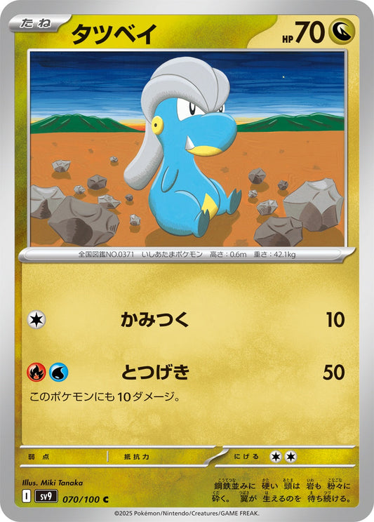 070/100 Bagon SV9