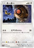 038/054 Hoothoot sm10b
