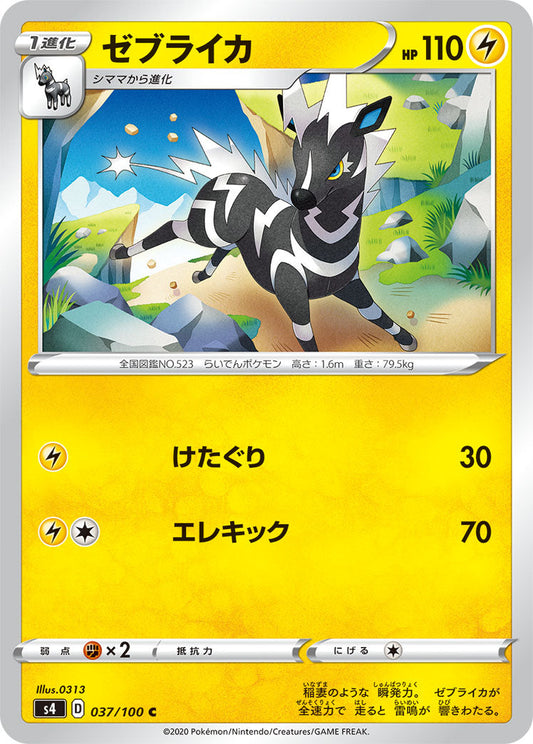 037/100 Zebstrika S4