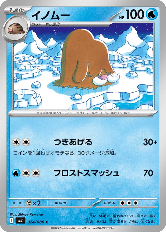 024/080 Piloswine M2