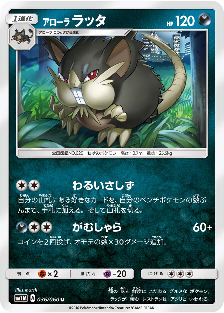036/060 Alolan Raticate SM1M