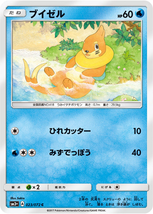 023/072 Buizel SM3+
