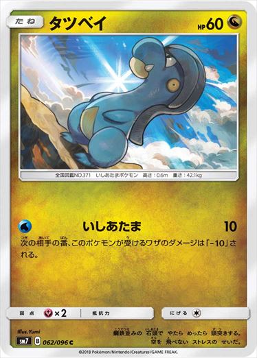 062/096 Bagon SM7