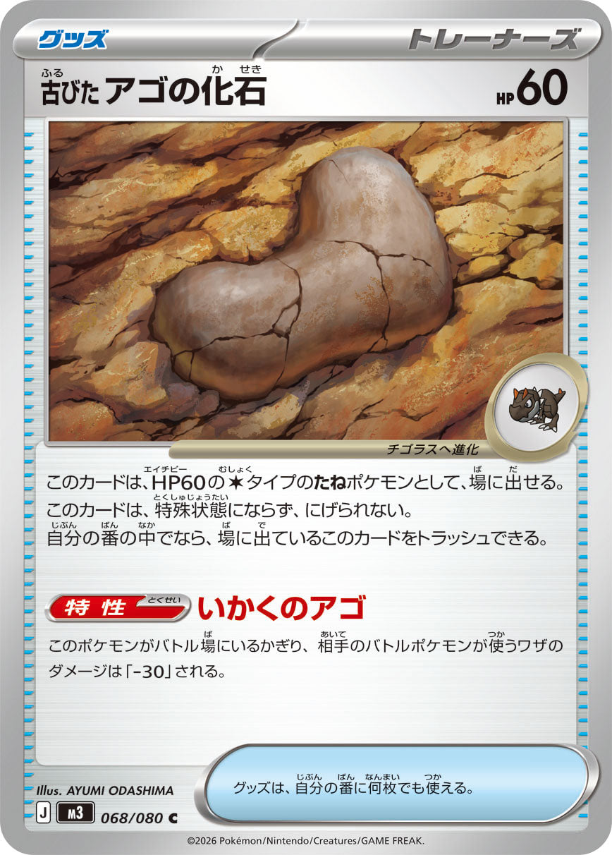 068/080 Antique Jaw Fossil M3