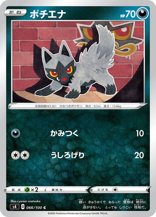 066/100 Poochyena S4