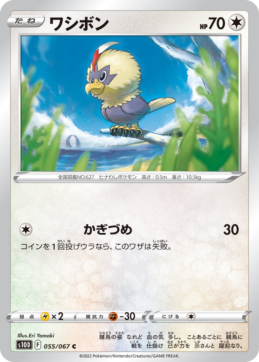 055/067 Rufflet S10D