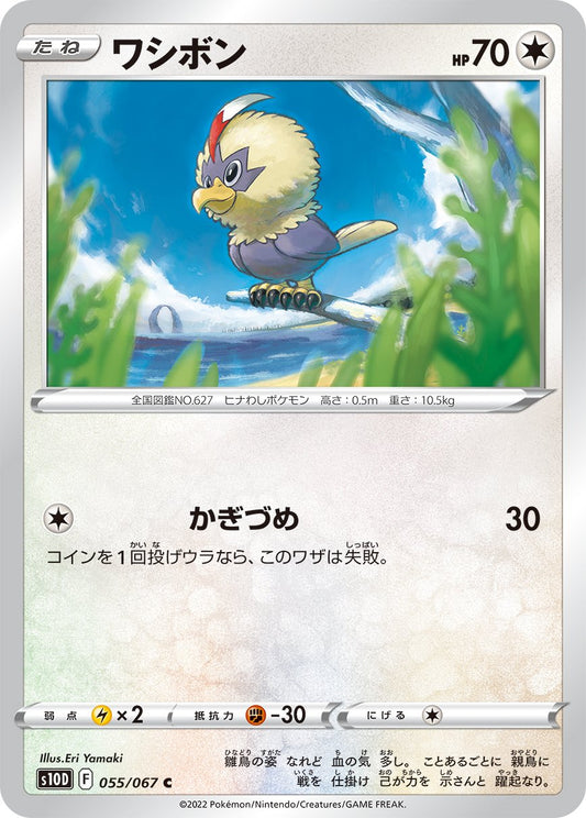 055/067 Rufflet S10D
