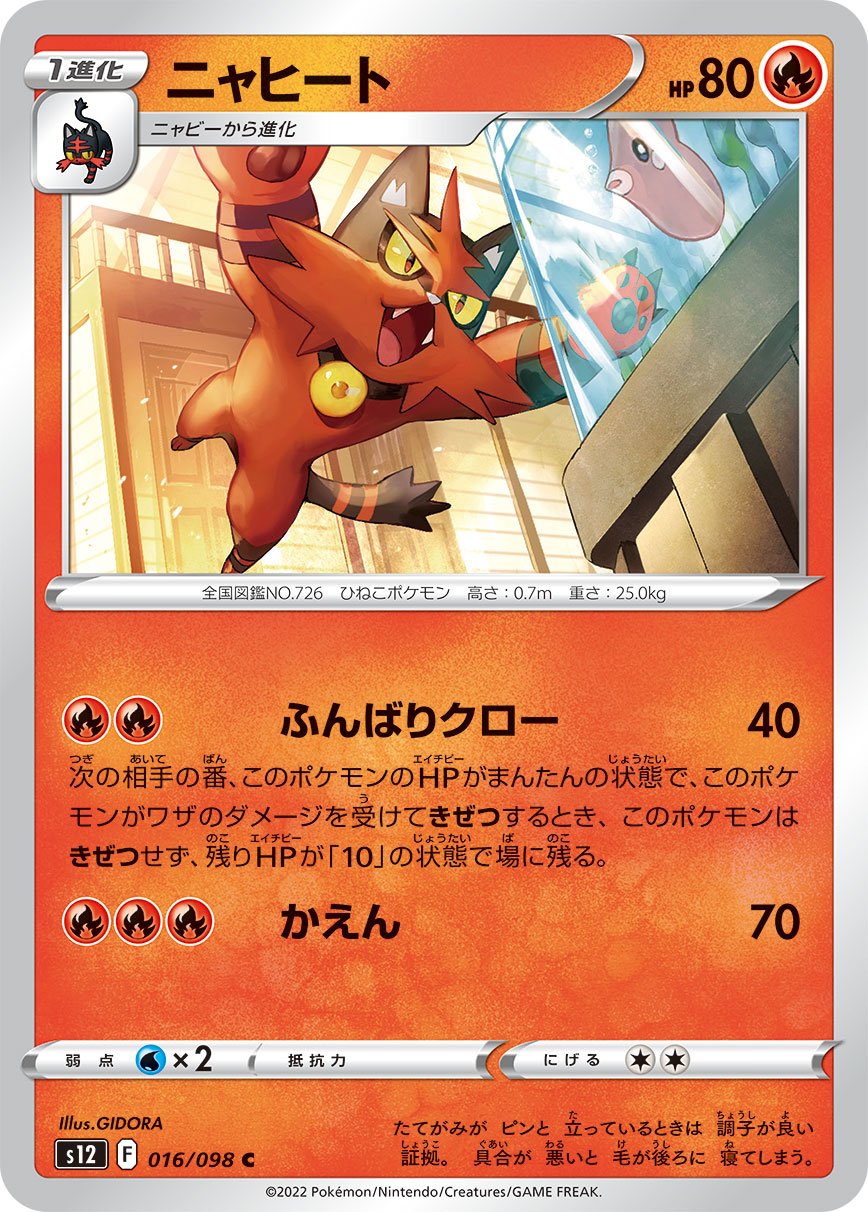 016/098 Torracat S12