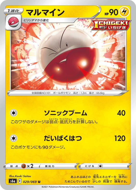 029/069 Electrode S6a