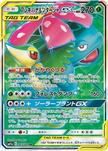 065/064 Venusaur & Snivy SR SM11a