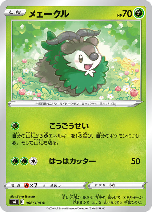 006/100 Skiddo S4