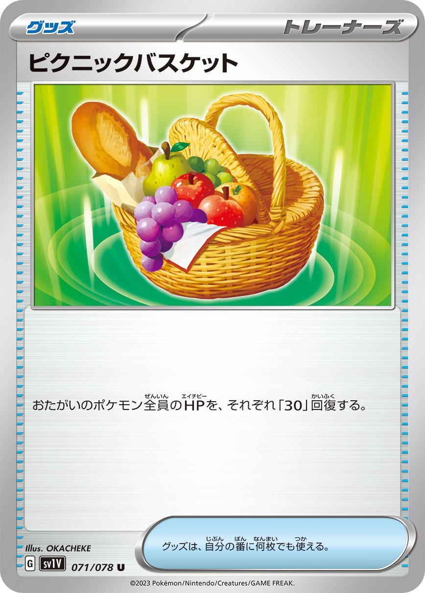 071/078 Picnic Basket SV1V