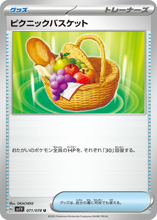071/078 Picnic Basket SV1V