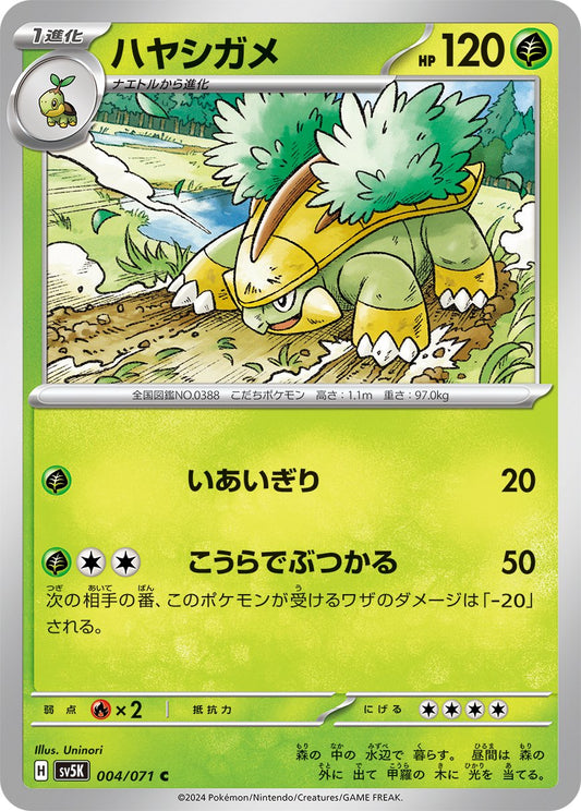 004/071 Grotle SV5K
