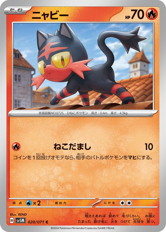 020/071 Litten SV5M