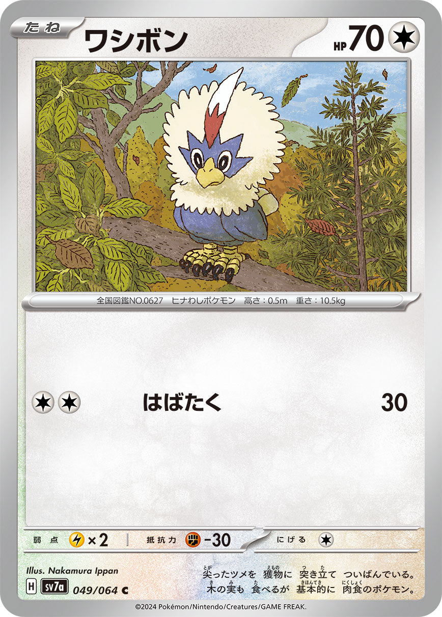 049/064 Rufflet SV7a