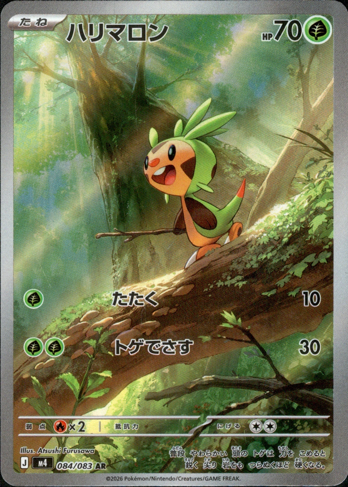 084/083 Chespin AR M4
