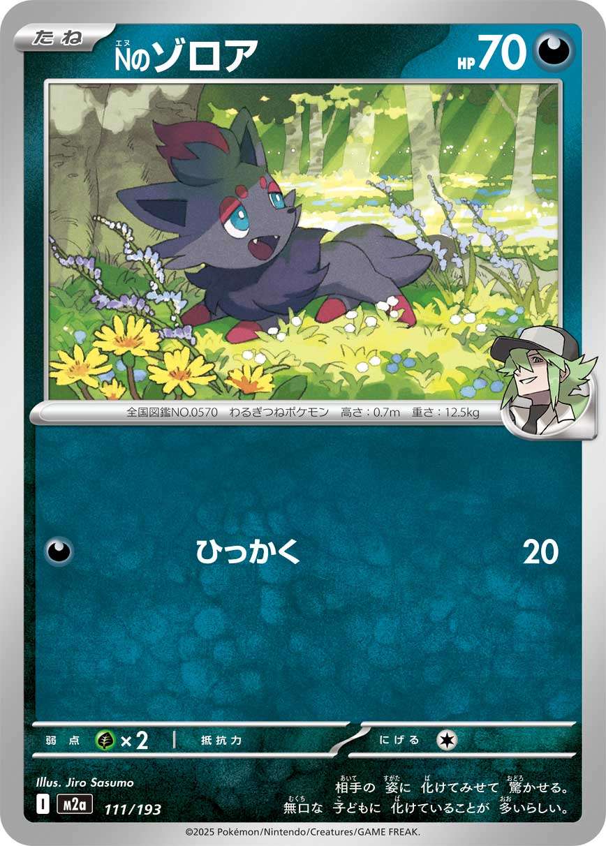 111/193 N's Zorua M2a