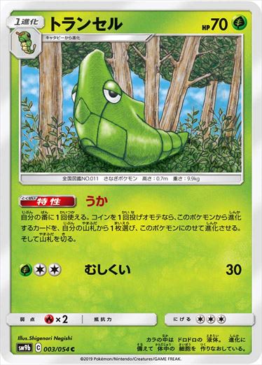 003/054 Metapod SM9b
