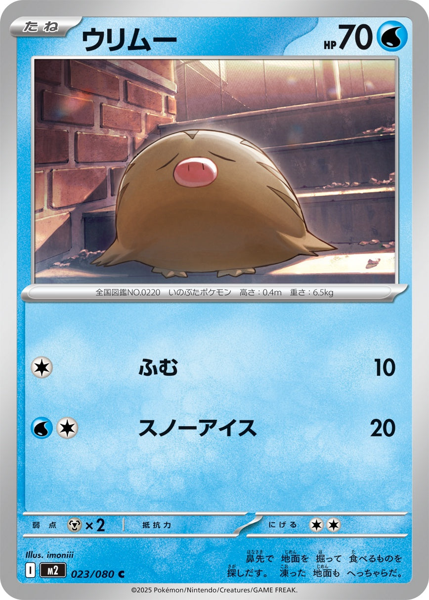 023/080 Swinub M2